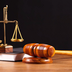Litigation Services