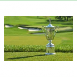 Tin Cup Anytime League