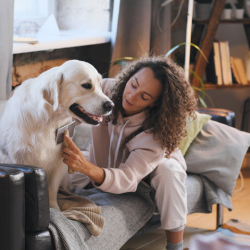 Pet Insurance 