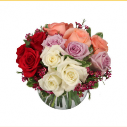 Valentine's Day