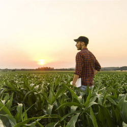 Farm & Crop Insurance