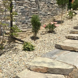 Landscape Design & Construction