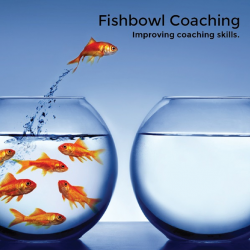 Fishbowl Coaching