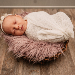 Maternity & Lifestyle Newborn