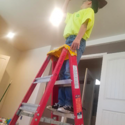 Inspections