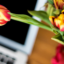 Advanced Funeral Planning