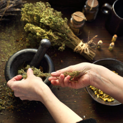 Herbal Consultation