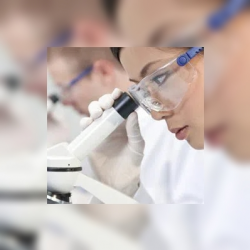 Laboratory Services