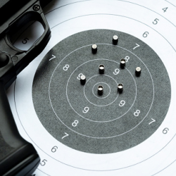 Basic Handgun / Safety Class