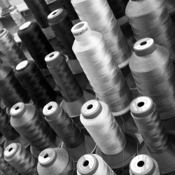 Apparel & Online Stores