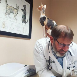 Standard and Specialized Procedures