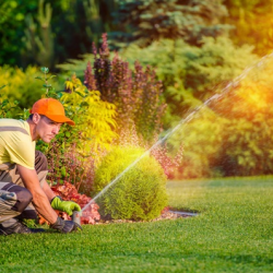 Estate Lawn Care