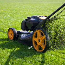 Grass Cutting