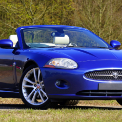 Personal Lines - Home & Auto