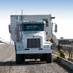 Beef and Dairy Feeding