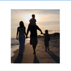 Life Insurance - All Lines