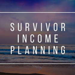 Survivor Income Planning