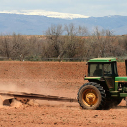 Agriculture