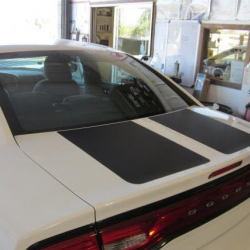 Paint Protection Film 