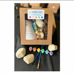 DIY Painted Rocks Craft Kit 