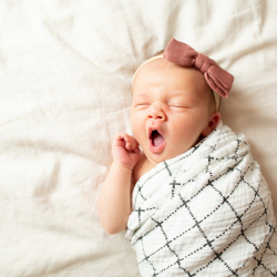 Lifestyle Newborn Session