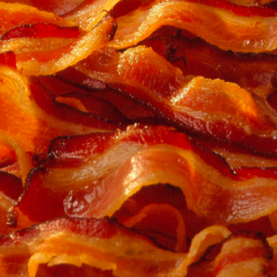 Bacon