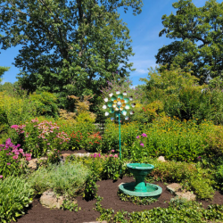 Landscape Installation Services