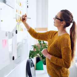 Human Capital Management Strategist