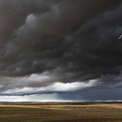 Farm/Property Claims