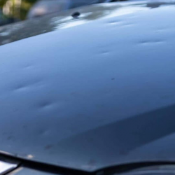 Ding and Dent Repair