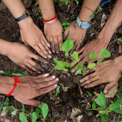 Environmental Education