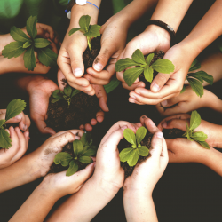 Green Economics Advocacy