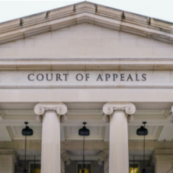 Motion, Writs, and Appeals