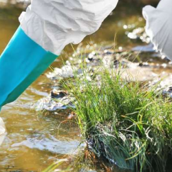 Environmental Litigation