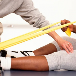 Highly Trained Therapists