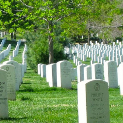Veterans Headstones