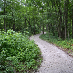 Park Trails