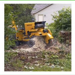 Stump Grinding