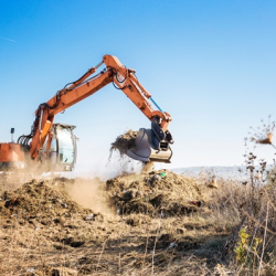 Site Clearing