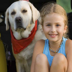 Recreational Vehicle