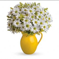 International Women's Day Flowers