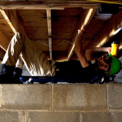 Mold Removal” vs. Mold Remediation