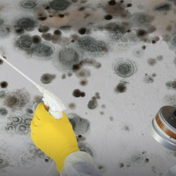 Environmental Services