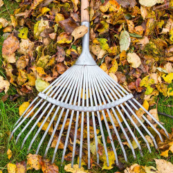 Property Management and Maintenance