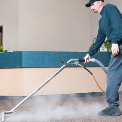 Carpet Cleaning