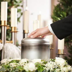 Cremation Services