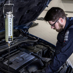 Gasoline Fuel System