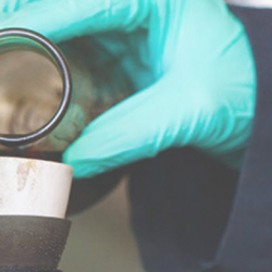 Lubricants & Specialty Products