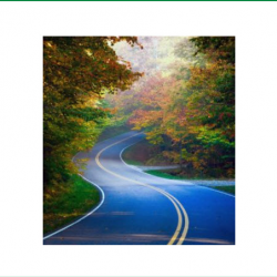 Asphalt & Heavy Products 