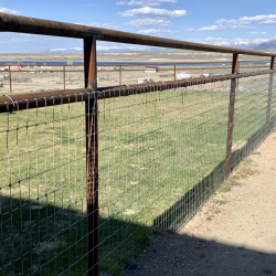 Chain Link Fence